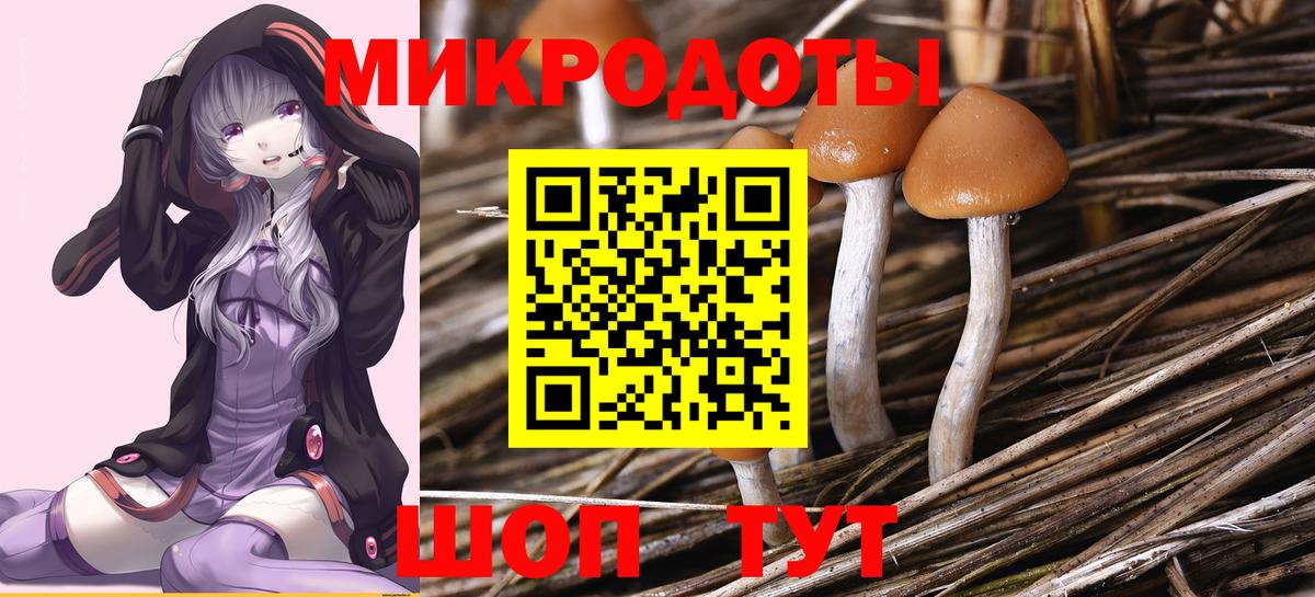 Псилоцибиновые грибы мицелий Строитель