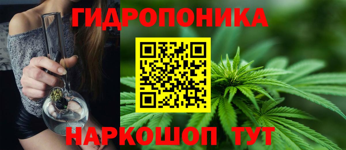 Строитель  Бошки Шишки индика  Вход с VPN  Конопля гибрид 